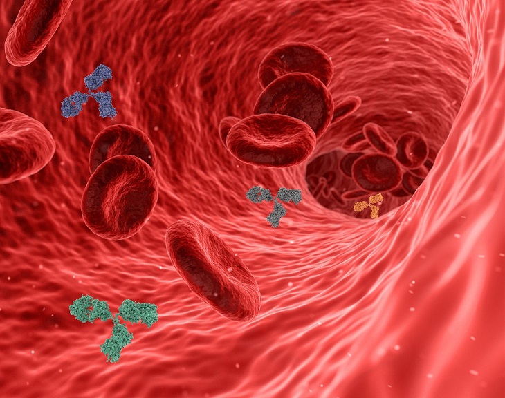 Vital RX - immune cells