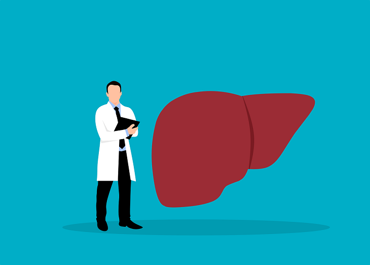 doctor and liver graphic
